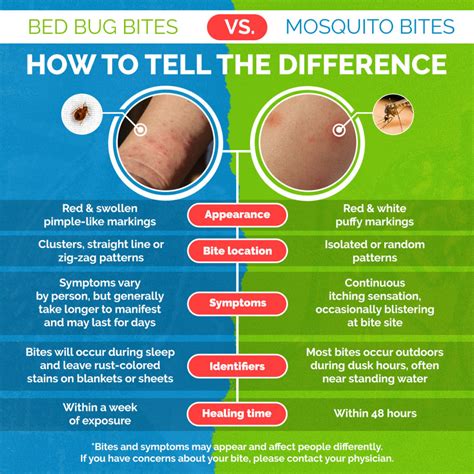 bites that are similar to bed bug bites